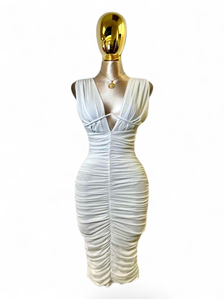 Ventis Mesh Mini Dress